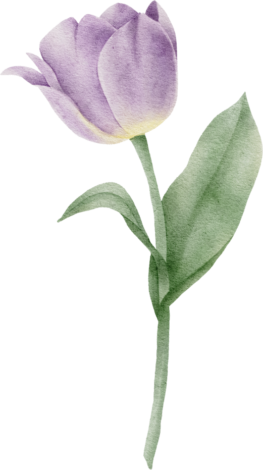 Watercolor Tulip Clipart